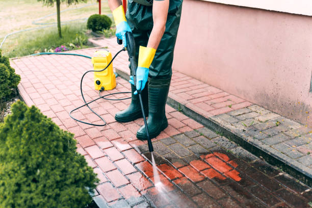 Best Commercial Pressure Washing  in St Leo, FL