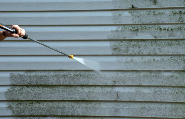Best Pressure Washing Company Near Me  in St Leo, FL