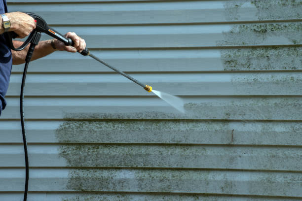 Best Pressure Washing Brick  in St Leo, FL
