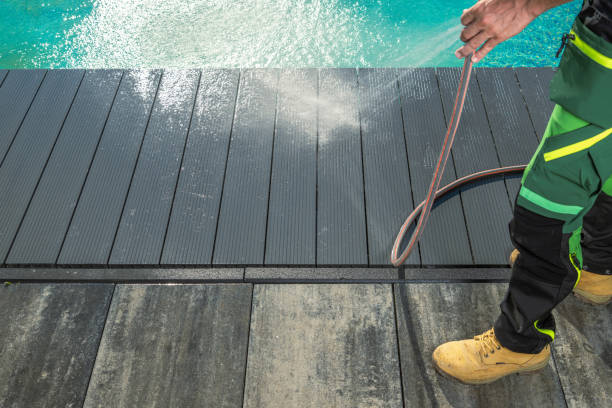 Best Power Washing Near Me  in St Leo, FL