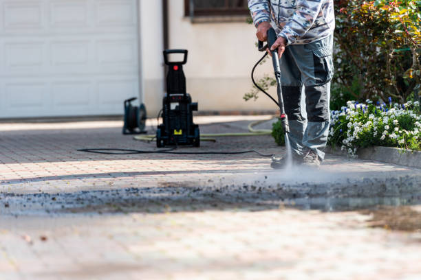 Best Local Pressure Washing Services  in St Leo, FL