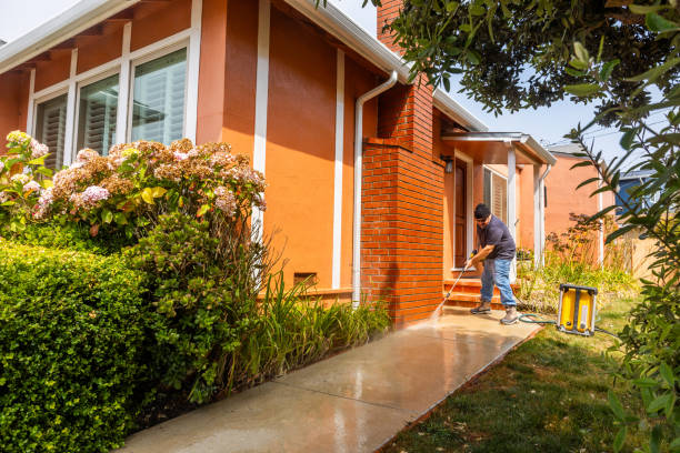 Best House Pressure Washing  in St Leo, FL