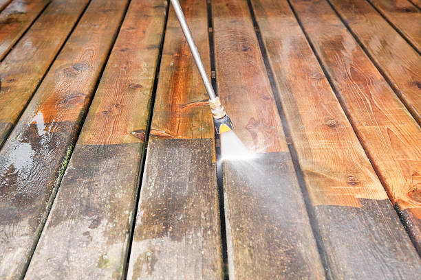  St Leo, FL Pressure Washing Pros