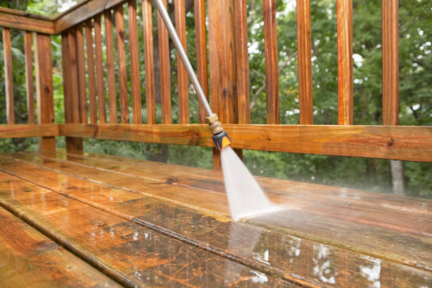 Best Deck Pressure Washing  in St Leo, FL